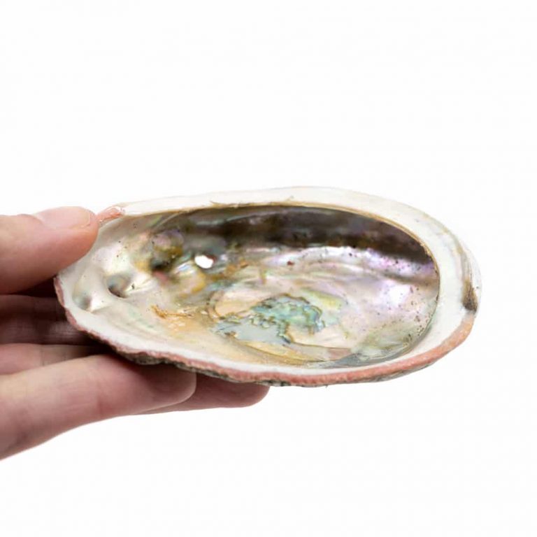 Reinig je Huis Pakket met Witte Salie & Yerba Santa Smudge