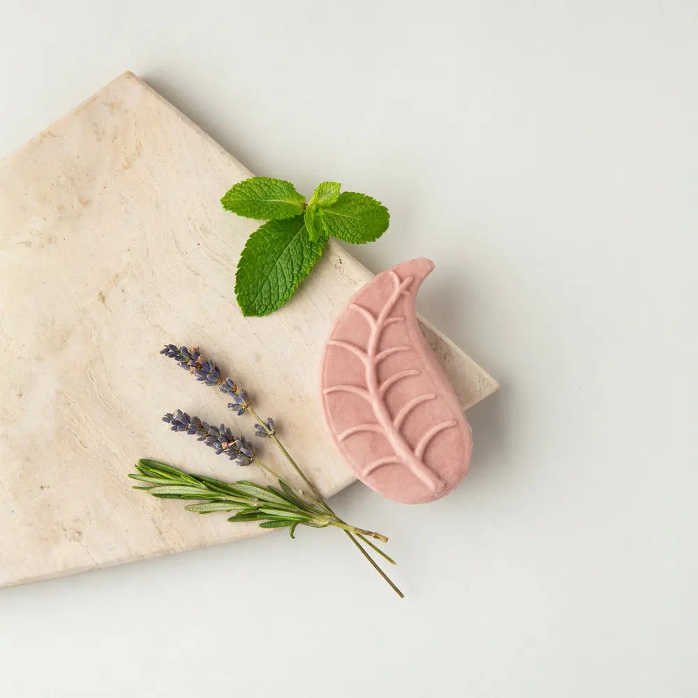 Shampoo & Conditioner Bar Set - Natural Heroes