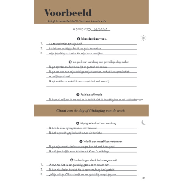 Het 6 minuten dagboek - lichtblauw