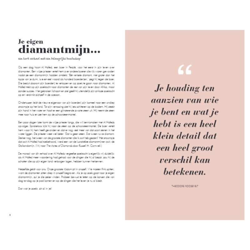 Het 6 minuten dagboek - roze