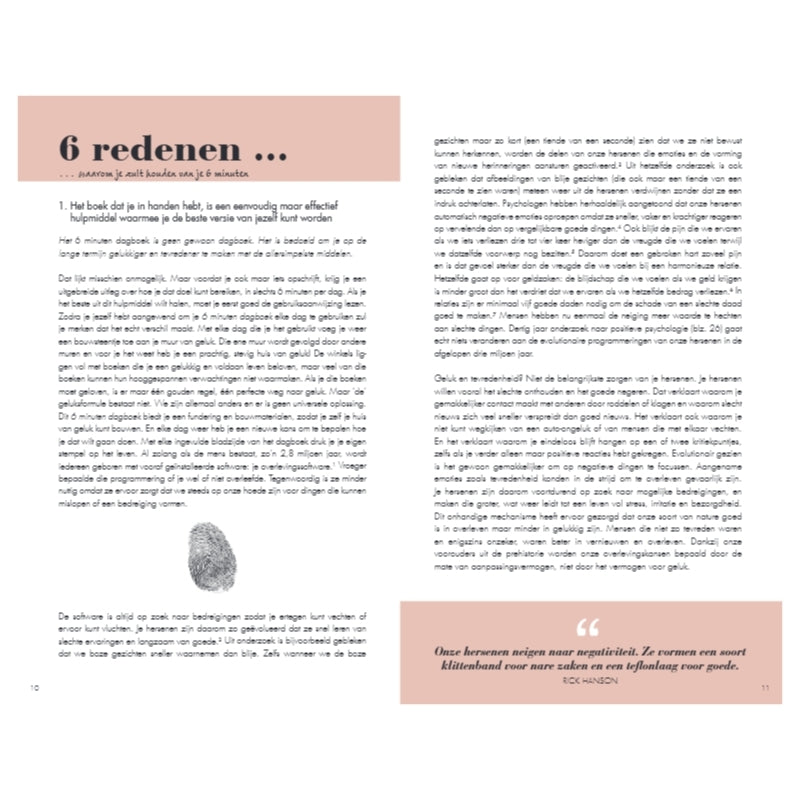 Het 6 minuten dagboek - roze