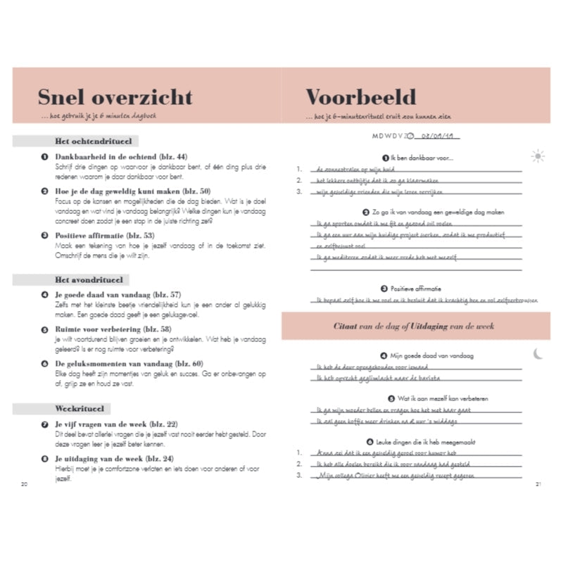 Het 6 minuten dagboek - roze
