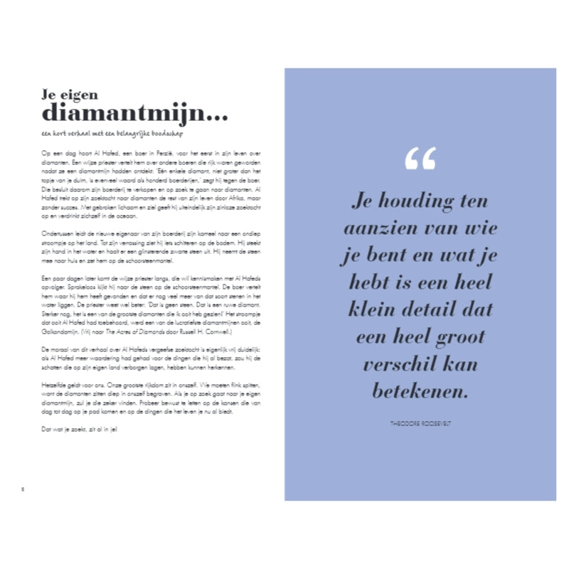 Het 6 minuten dagboek - regenboog
