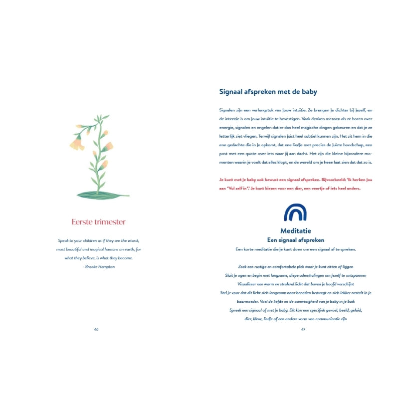 Zwangerschapsdagboek