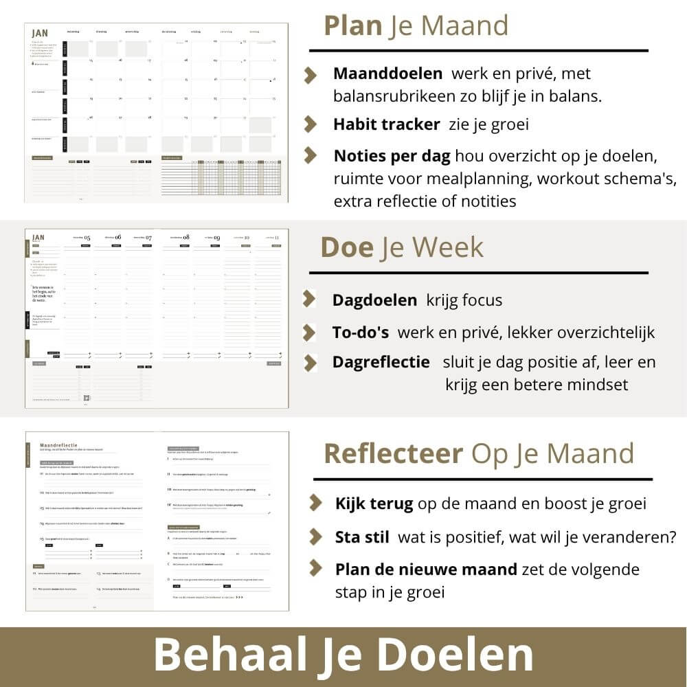 Purpuz Planner 2026 (NL) - shiny silver