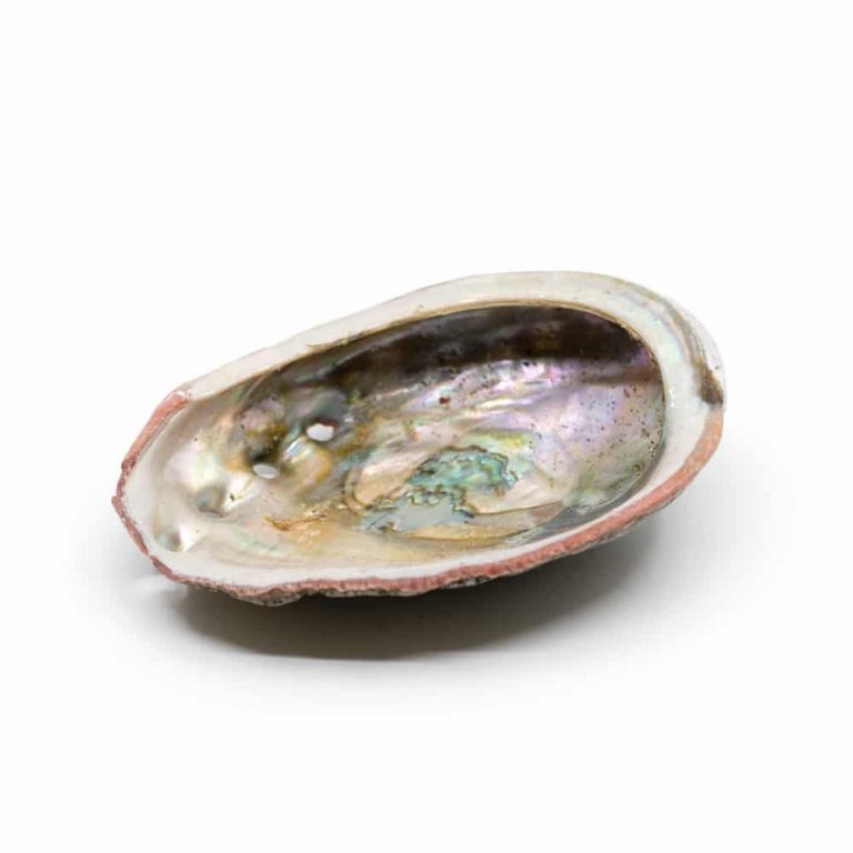 Reinig je Huis Pakket met Witte Salie & Yerba Santa Smudge