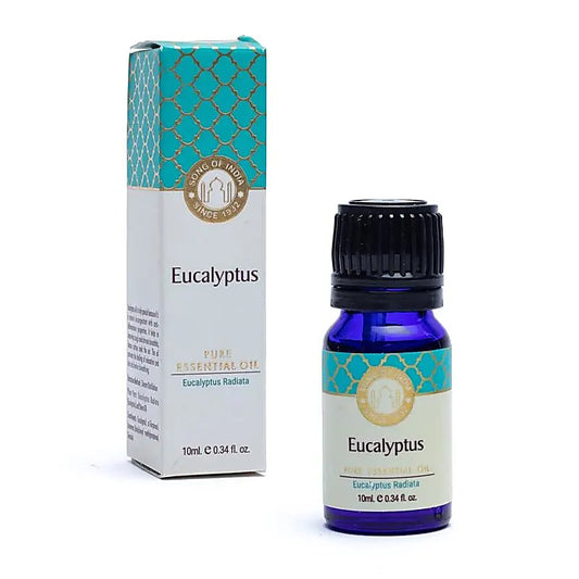 Etherische eucalyptus olie - Song of India