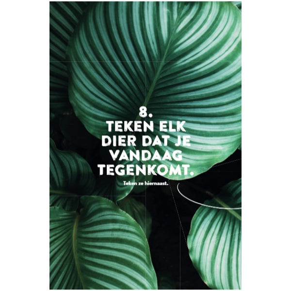 Reisjournal