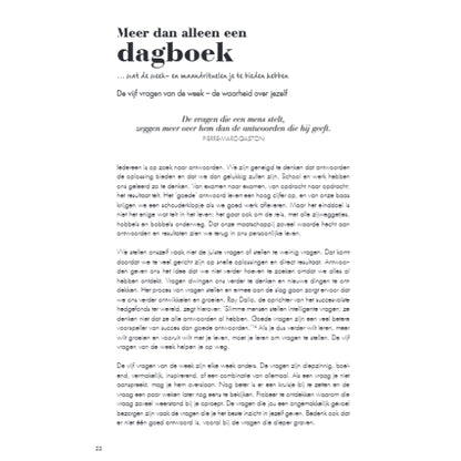 Het 6 minuten dagboek - lichtblauw