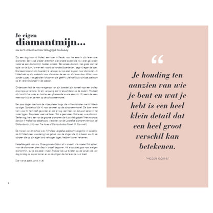 Het 6 minuten dagboek - roze