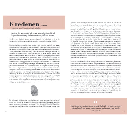 Het 6 minuten dagboek - roze