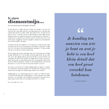 Het 6 minuten dagboek - regenboog