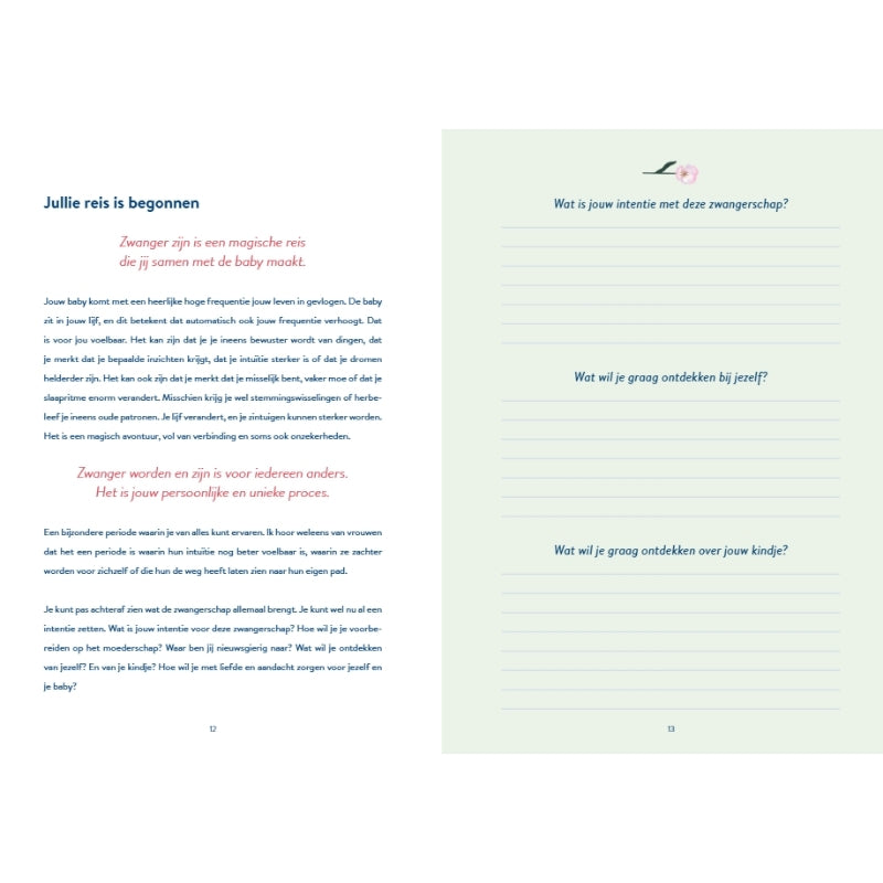 Zwangerschapsdagboek