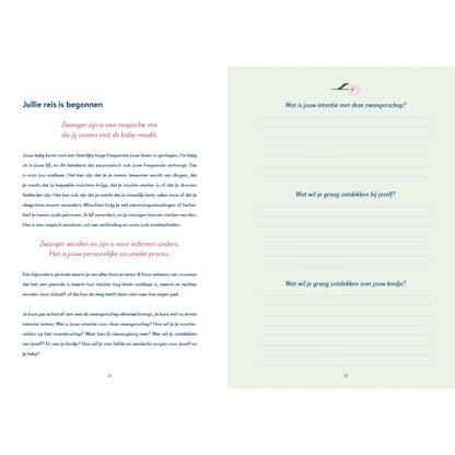 Zwangerschapsdagboek