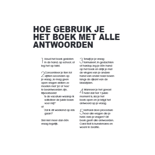 BOLT*BOEK MET ALLE ANTWOORDEN - MINI