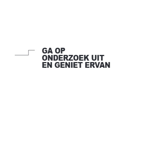 BOLT*BOEK MET ALLE ANTWOORDEN - MINI