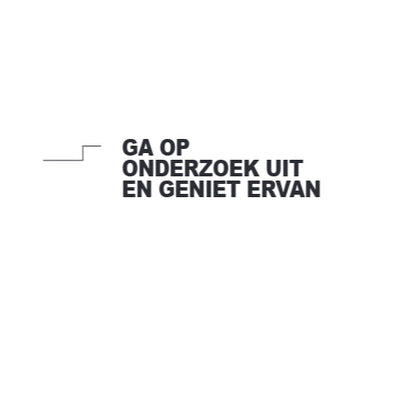 BOLT*BOEK MET ALLE ANTWOORDEN - MINI