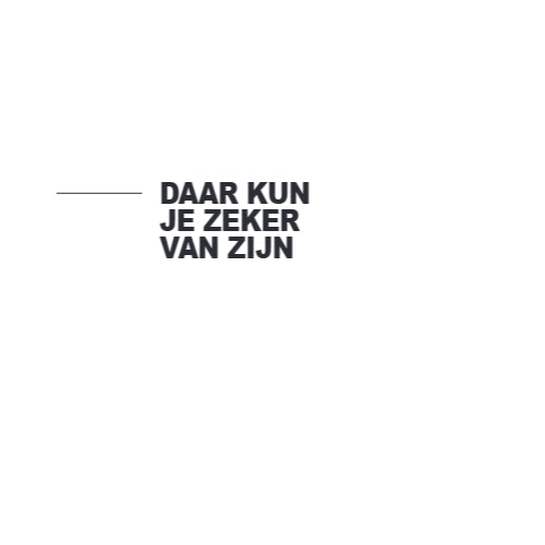 BOLT*BOEK MET ALLE ANTWOORDEN - MINI