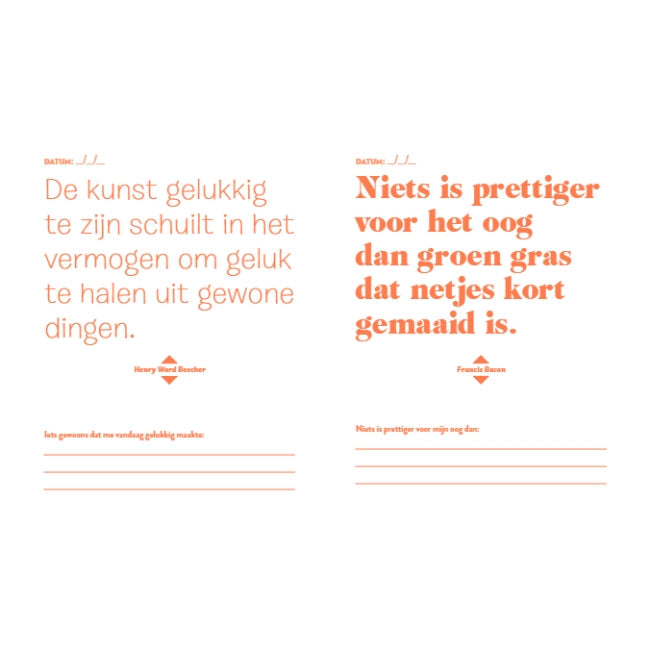 Doe elke dag iets waar je blij van wordt - journal