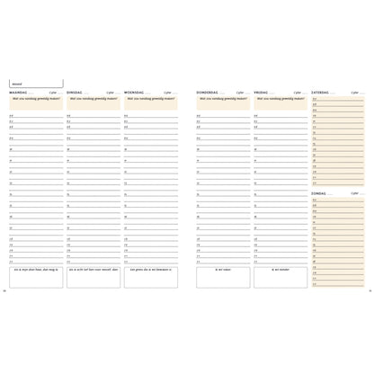 The Sanny Side Up planner