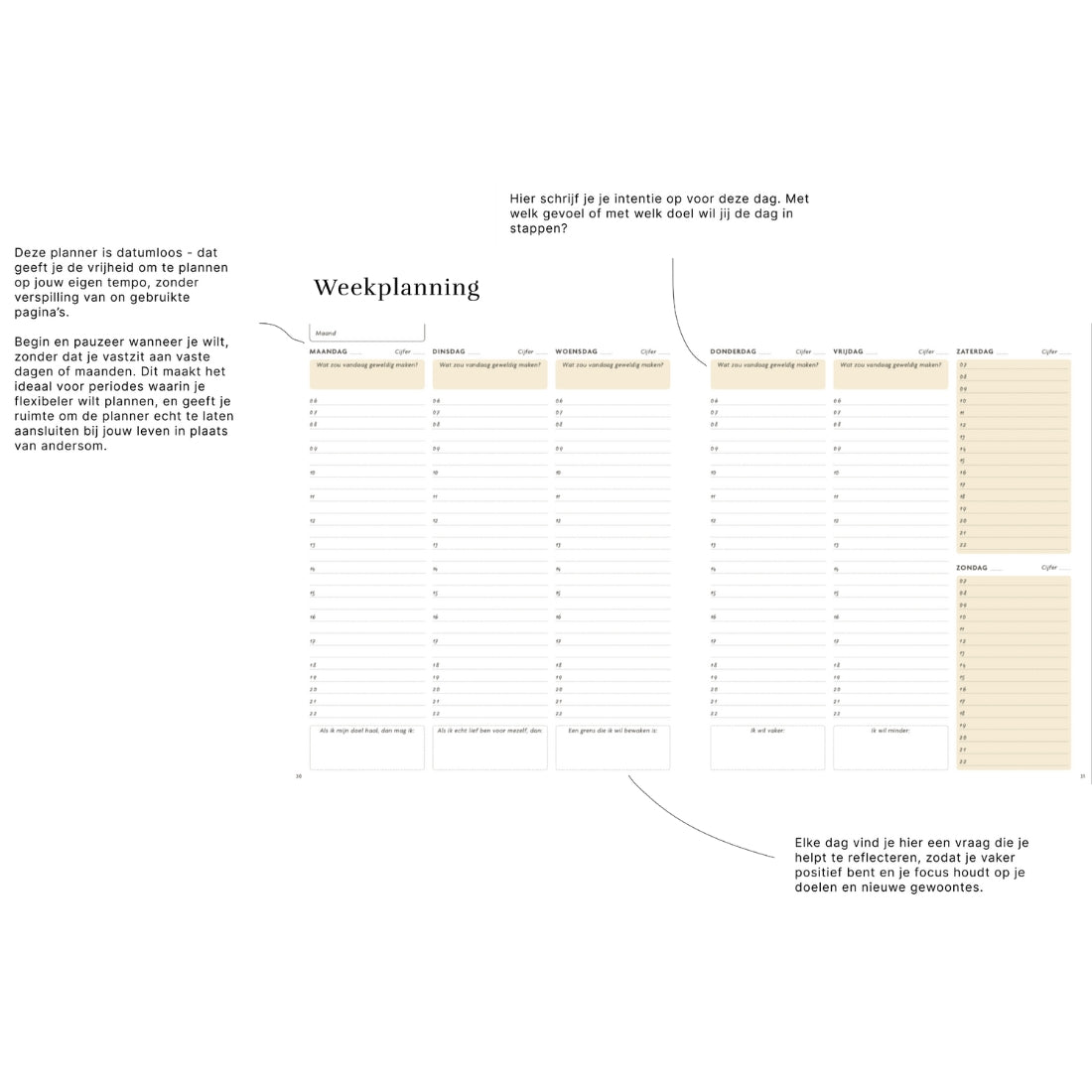 The Sanny Side Up planner